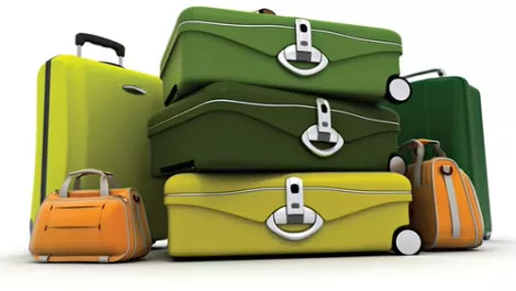 Luggage